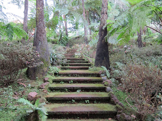 mystické schody